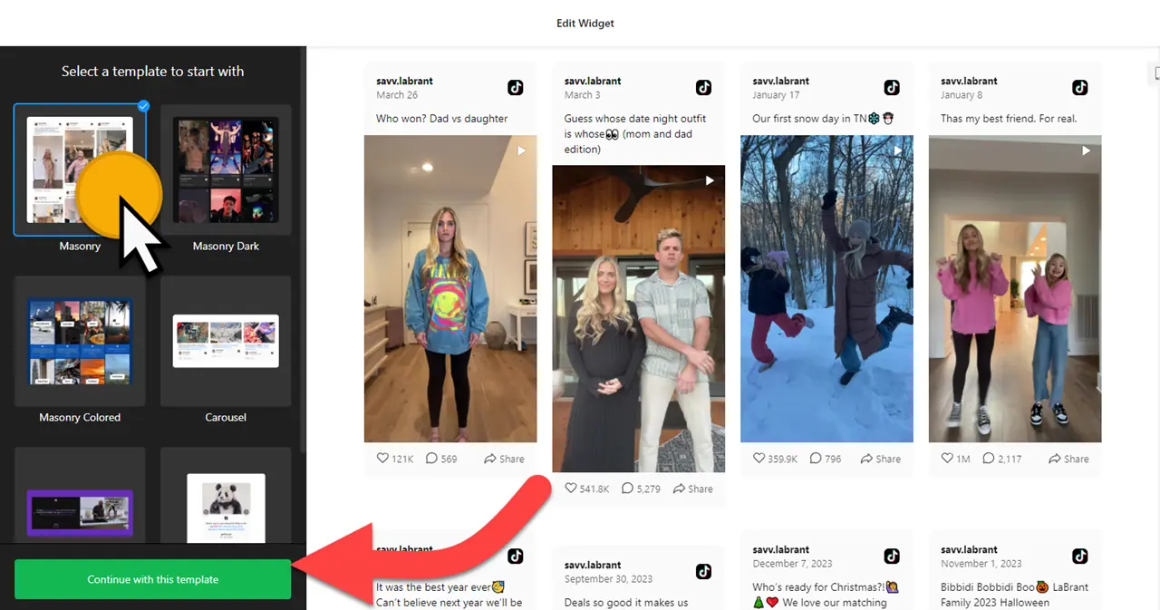 TikTok Feed Widget